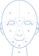 Facemap